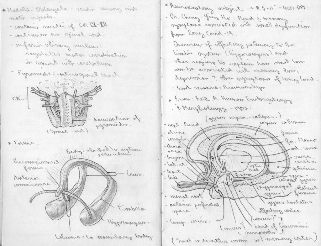 Long Covid sketch 1