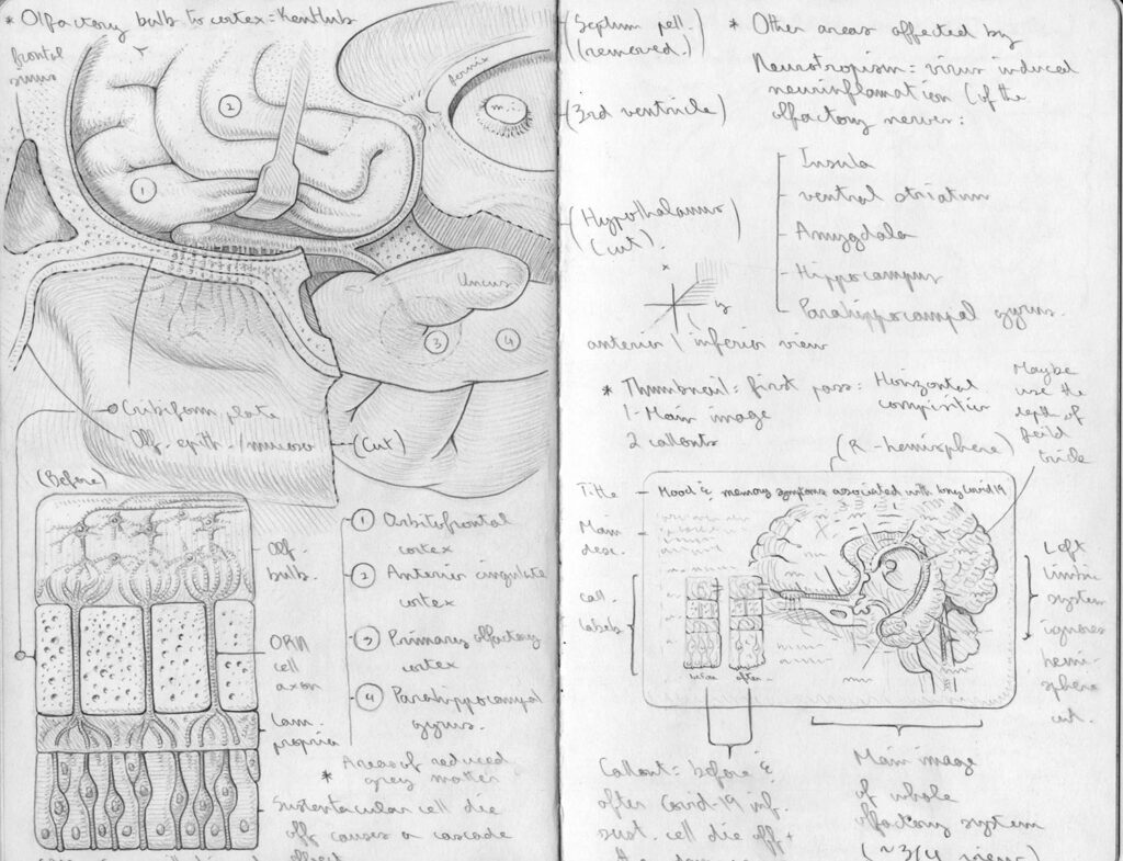 Long Covid sketch 2