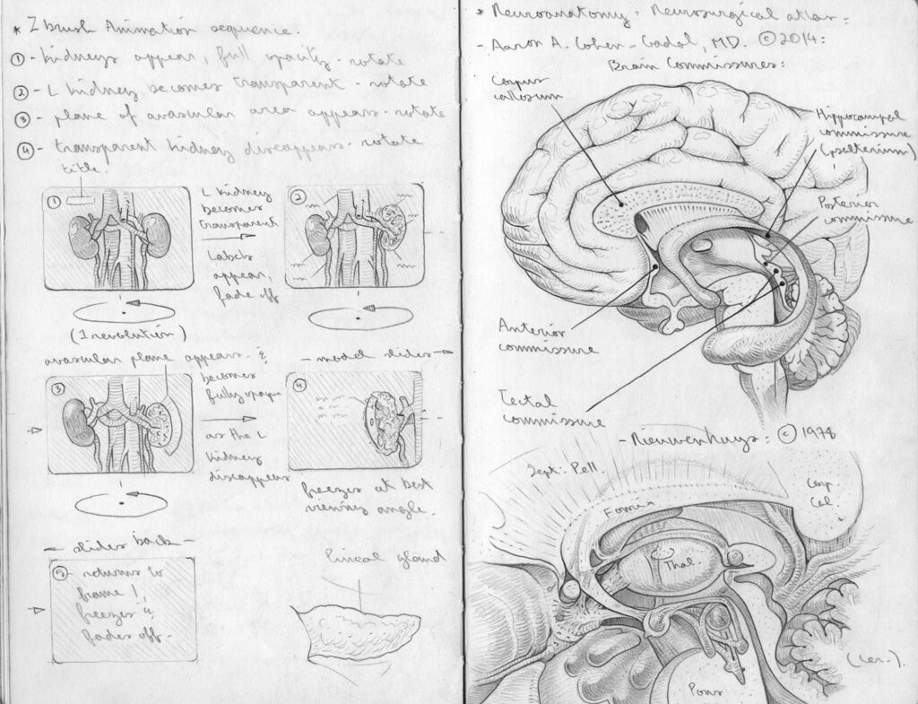 Long Covid sketch 3