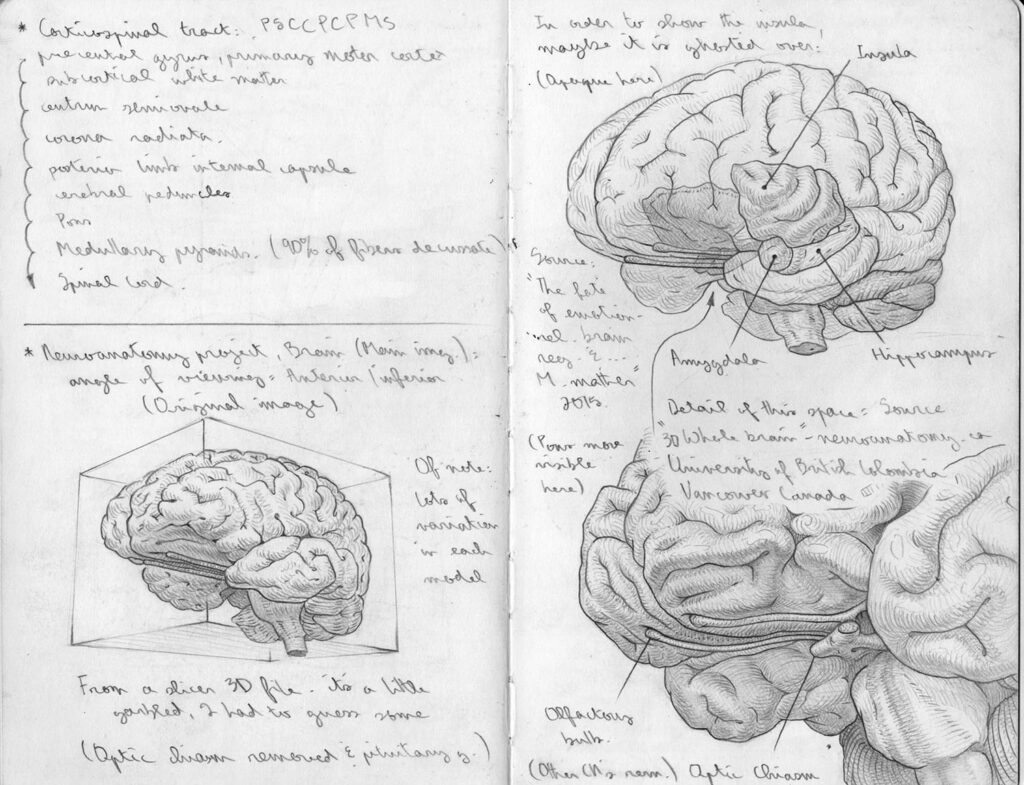 Long Covid sketch 4