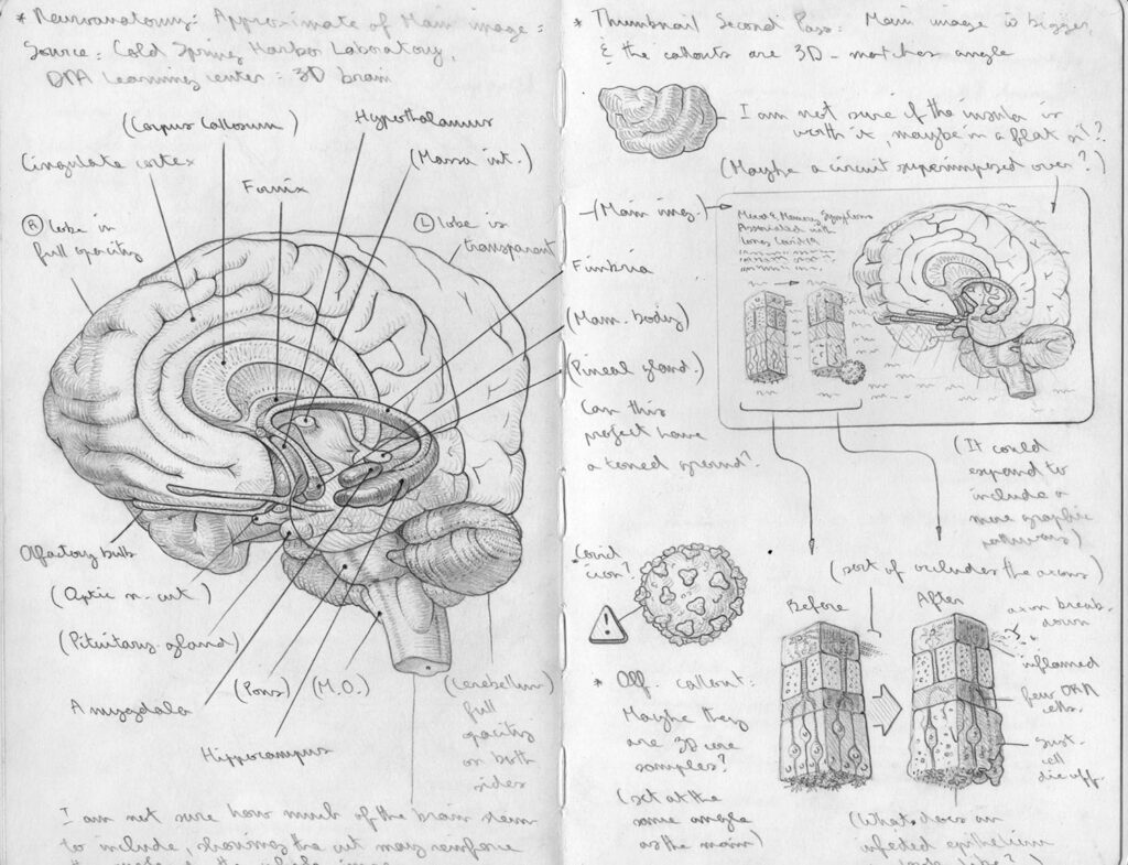 Long Covid sketch 5